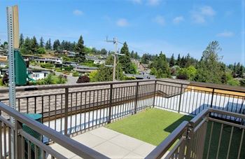 Lux apartments bellevue wa rooftop pet run with pet station